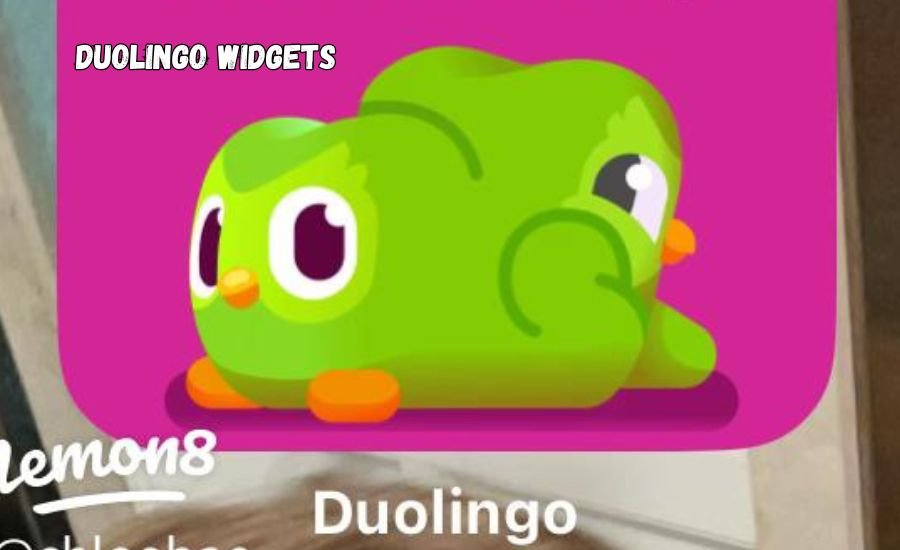 duolingo widgets