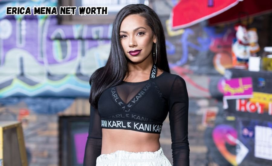 erica mena net worth