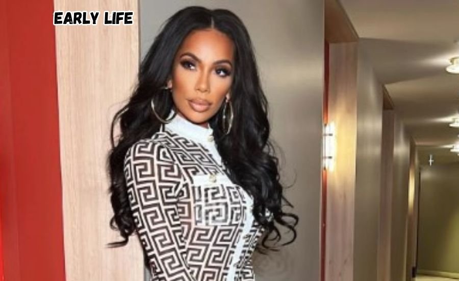 erica mena net worth