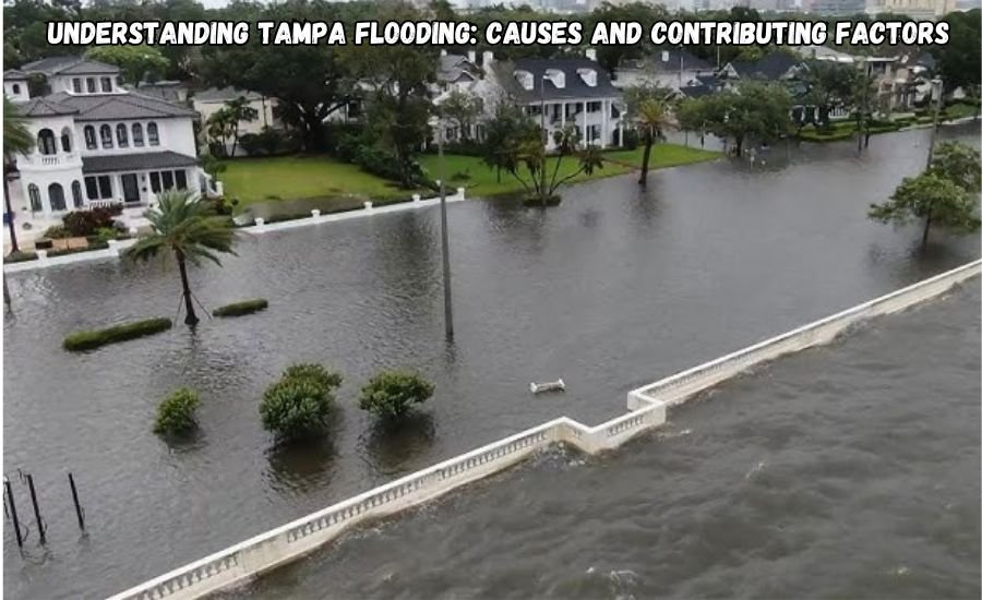 tampa flooding