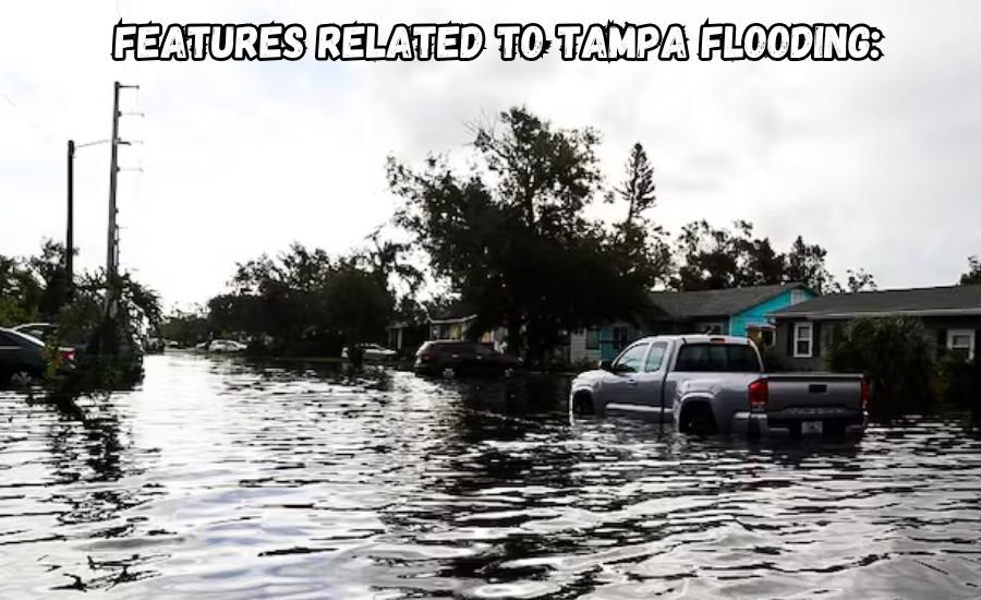 tampa flooding