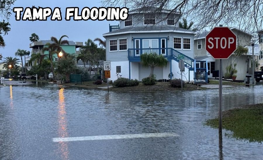 tampa flooding