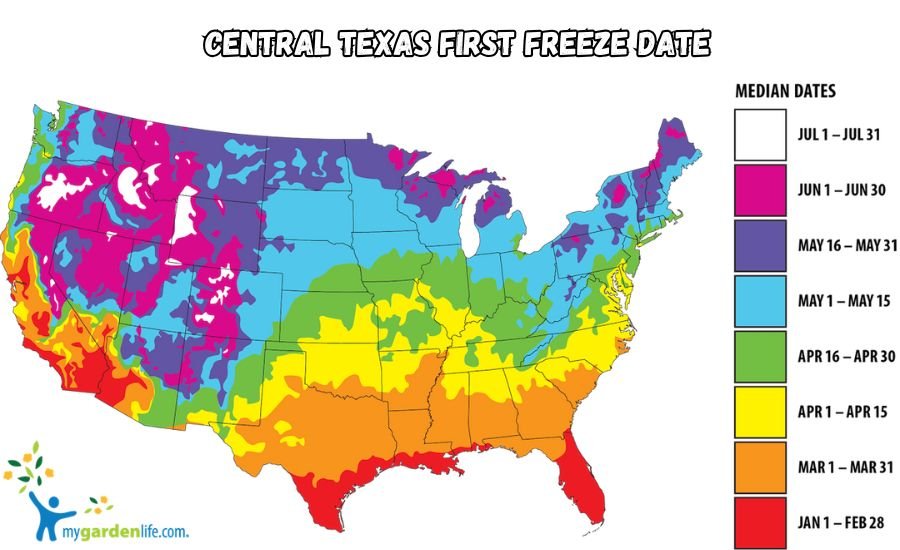 central texas first freeze date