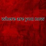 where are you now